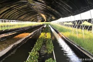 从一条旧闻看水蛭还能养吗？一老汉养殖水蛭3年亏光20多万，喝药自尽