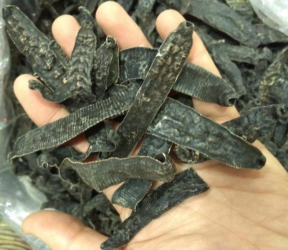 从一条旧闻看水蛭还能养吗？一老汉养殖水蛭3年亏光20多万，喝药自尽