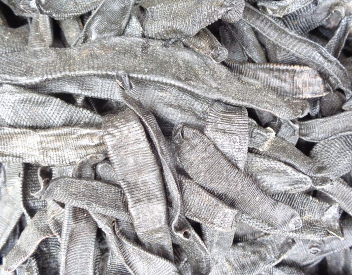 收购水蛭也要当心，水蛭也是可以掺假的