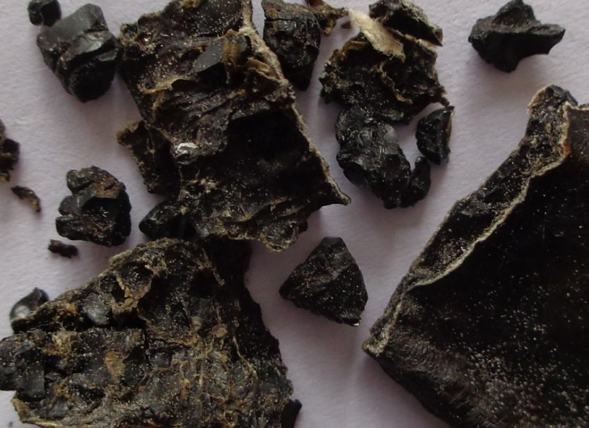 收购水蛭也要当心，水蛭也是可以掺假的