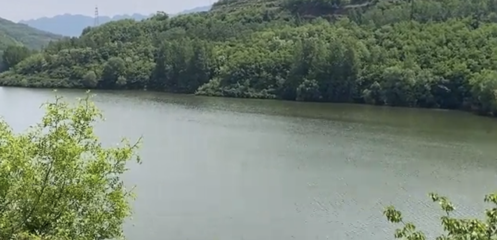 太阳天与阴雨天养殖管理、螺蛳消毒