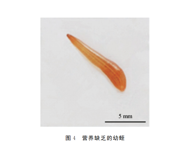 966754ed023e341a8c6296c580c03ea8