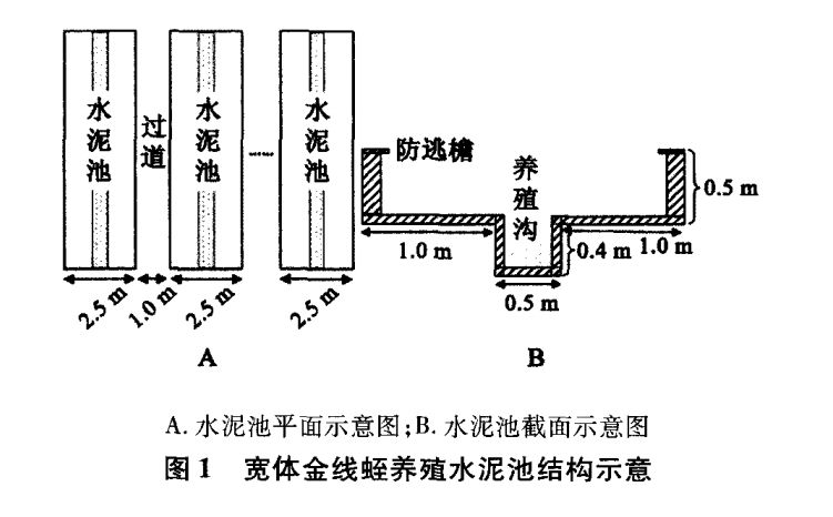 d6fcab433d3e537bb3bb62b3dfd641ef 宽体金线蛭水泥池养殖技术研究