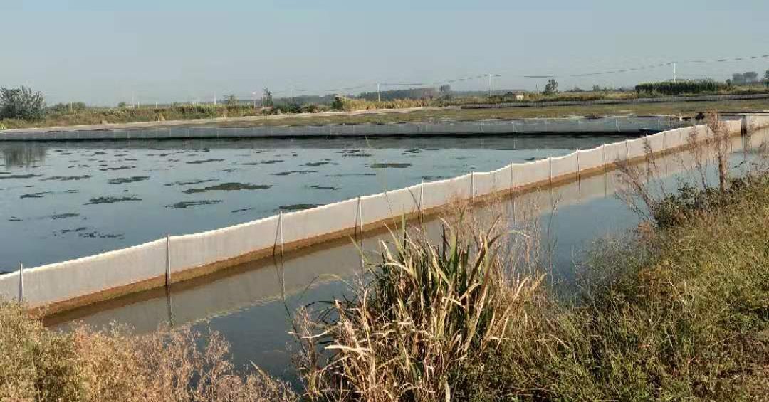 长江大学：水蛭围网养殖技术