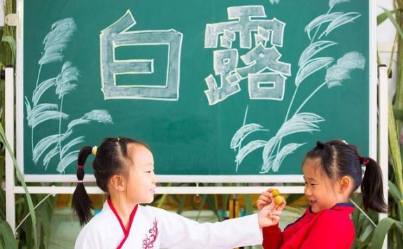 听说过“白露劫”吗？水蛭养殖高风险时期预防分享