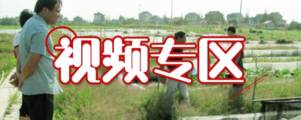 视频专区