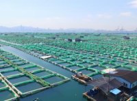 宽体金线水蛭(蚂蝗)养殖的模式