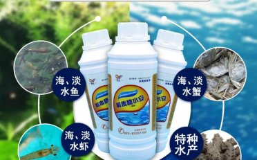 了解什么是“解毒”，了解有机酸