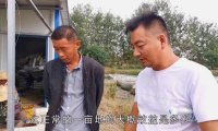 小伙养殖水蛭，4亩地收获1200斤净赚40万，这也太夸张了