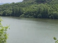 太阳天与阴雨天养殖管理、螺蛳消毒