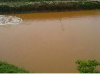 铁锈水和油膜(一):分辩和处理裸甲藻