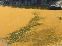 铁锈水和油膜(二):地下水含铁和水体过肥