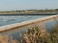 长江大学:水蛭围网养殖技术