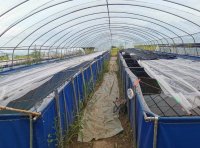 大棚+水槽养殖模式简要说明