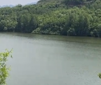 太阳天与阴雨天养殖管理、螺蛳消毒