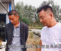 小伙养殖水蛭，4亩地收获1200斤净赚40万，这也太夸张了