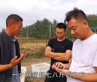 蚂蟥1亩赚10万？40家养殖只有2家亏钱，风险到底在哪里？