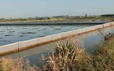 长江大学：水蛭围网养殖技术