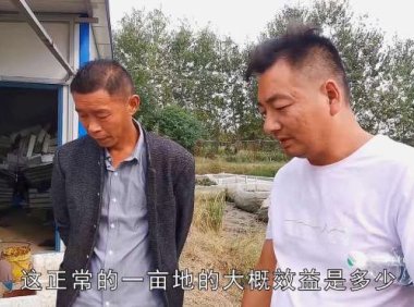 小伙养殖水蛭，4亩地收获1200斤净赚40万，这也太夸张了
