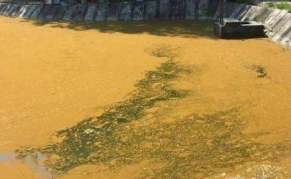 铁锈水和油膜(二):地下水含铁和水体过肥