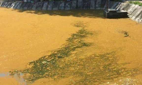 铁锈水和油膜(二):地下水含铁和水体过肥