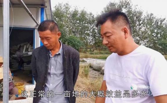 小伙养殖水蛭，4亩地收获1200斤净赚40万，这也太夸张了