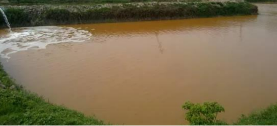 铁锈水和油膜（一）：分辩和处理裸甲藻