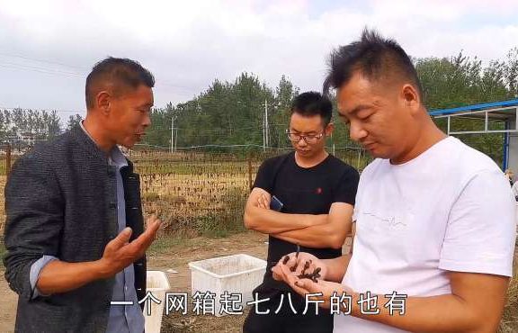 蚂蟥1亩赚10万?40家养殖只有2家亏钱,风险到底在哪里?