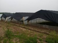 水蛭的生活习性:起居习性、行为习性和觅食习性